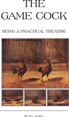The Game Cock - Being a Practical Treatise on Breeding, Rearing, Training, Feeding, Trimming, Mains, Heeling, Spurs, Etc. (Histoire des combats de coqs) - The Game Cock - Being a Practical Treatise on Breeding, Rearing, Training, Feeding, Trimming, Mains, Heeling, Spurs, Etc. (History of Cockfighting Ser