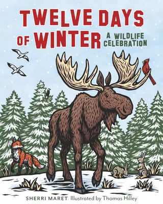 Douze jours d'hiver : Une célébration de la faune - Twelve Days of Winter: A Wildlife Celebration