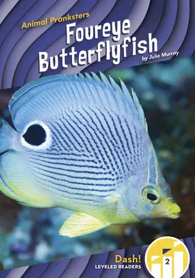 Poisson-papillon - Foureye Butterflyfish