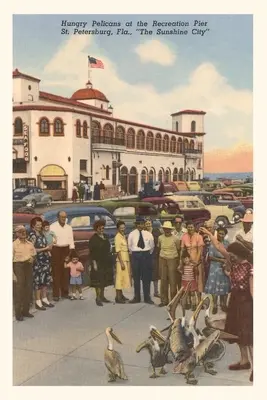 Journal d'époque Pélicans, St. Petersburg, Floride - Vintage Journal Pelicans, St. Petersburg, Florida