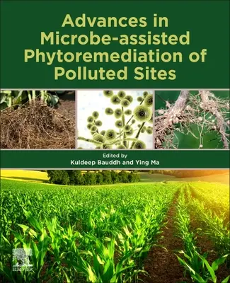 Progrès dans la phytoremédiation assistée par microbes des sites pollués - Advances in Microbe-Assisted Phytoremediation of Polluted Sites