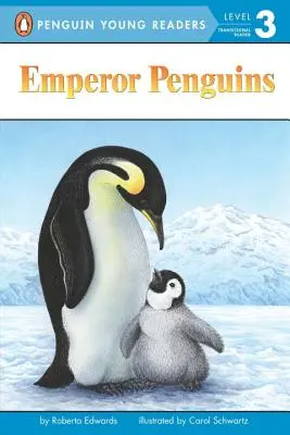 Les manchots empereurs - Emperor Penguins