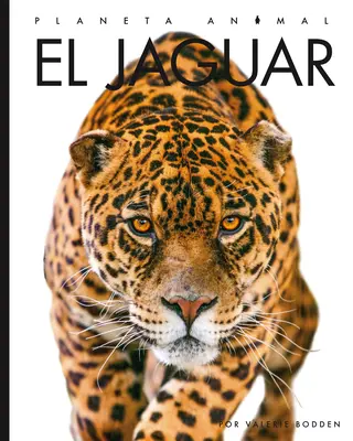 Le jaguar - El Jaguar