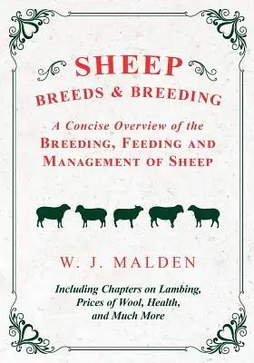 Races et élevage des ovins - Un aperçu concis de l'élevage, de l'alimentation et de la gestion des ovins, comprenant des chapitres sur l'agnelage, le prix de la laine, la santé et l'élevage. - Sheep Breeds and Breeding - A Concise Overview of the Breeding, Feeding and Management of Sheep, Including Chapters on Lambing, Prices of Wool, Health