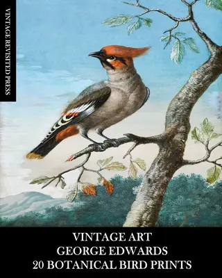 Art ancien : George Edwards : 20 imprimés d'oiseaux botaniques : Ephémères pour l'encadrement, la décoration intérieure, le collage et le découpage - Vintage Art: George Edwards: 20 Botanical Bird Prints: Ephemera for Framing, Home Decor, Collage and Decoupage