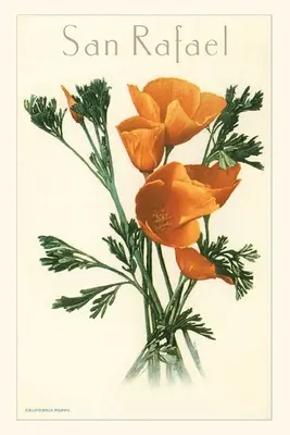 Journal d'époque San Rafael, Californie Coquelicots - Vintage Journal San Rafael, California Poppies