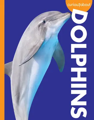 Curieux des dauphins - Curious about Dolphins