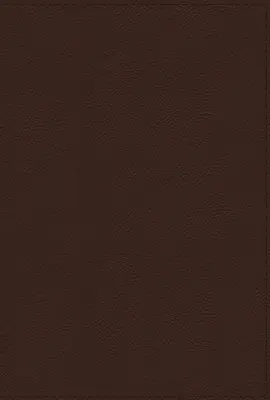 Nrsvue, Holy Bible with Apocrypha, Leathersoft, Brown, Comfort Print