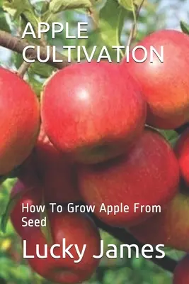 Culture de la pomme : Comment cultiver des pommes à partir de graines - Apple Cultivation: How To Grow Apple From Seed