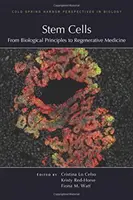 Cellules souches : Des principes biologiques à la médecine régénérative - Stem Cells: From Biological Principles to Regenerative Medicine