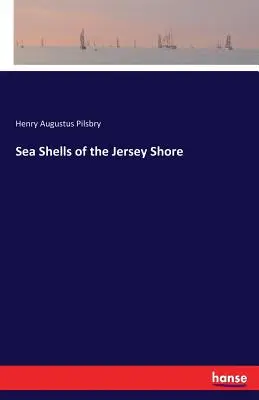 Coquillages du littoral de Jersey - Sea Shells of the Jersey Shore