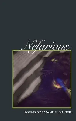 Nefarious : Poèmes - Nefarious: Poems