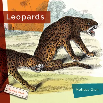 Léopards - Leopards