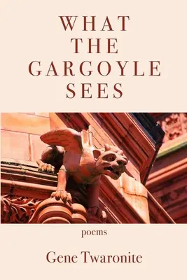 Ce que voit la gargouille - What the Gargoyle Sees