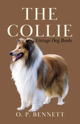 Le colley - The Collie