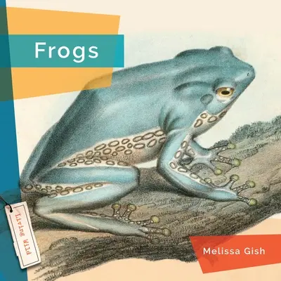 Grenouilles - Frogs