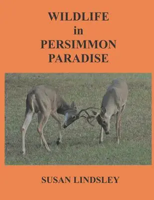 La vie sauvage au paradis des kakis - Wildlife in Persimmon Paradise