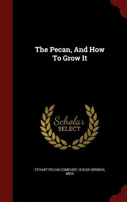 La noix de pécan, et comment la cultiver - The Pecan, And How To Grow It