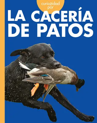 Curiosité pour la chasse aux canards - Curiosidad Por La Cacera de Patos