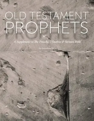 Prophètes de l'Ancien Testament : Un supplément à la Bible du prédicateur (NIV) - Old Testament Prophets: A Supplement to The Preacher's Outline & Sermon Bible (NIV)