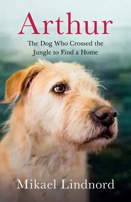 Arthur : Le chien qui a traversé la jungle pour trouver un foyer - Arthur: The Dog Who Crossed the Jungle to Find a Home