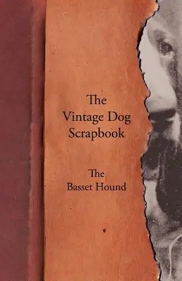 L'album du chien d'époque - Le Basset Hound - The Vintage Dog Scrapbook - The Basset Hound