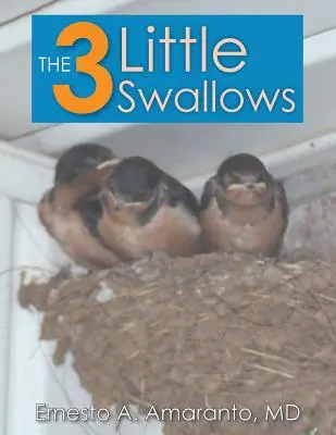 Les 3 petites hirondelles - The 3 Little Swallows