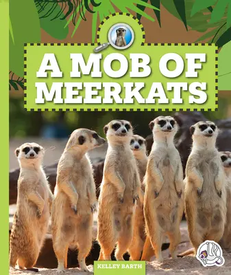 Une foule de suricates - A Mob of Meerkats