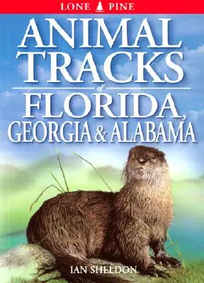 Traces d'animaux en Floride, Géorgie et Alabama - Animal Tracks of Florida, Georgia, Alabama