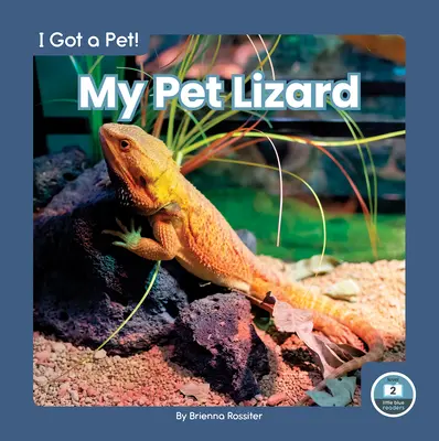 Mon lézard - My Pet Lizard