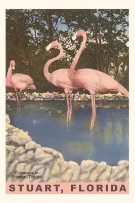 Journal d'époque Flamants, Stuart, Floride - Vintage Journal Flamingos, Stuart, Florida