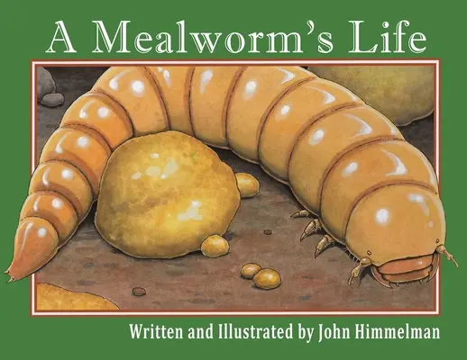 La vie d'un ver de farine - A Mealworm's Life