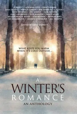 Une romance d'hiver - A Winter's Romance