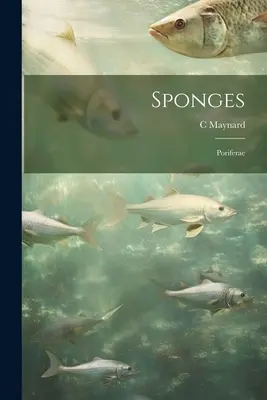 Les éponges, les porifères - Sponges; Poriferae