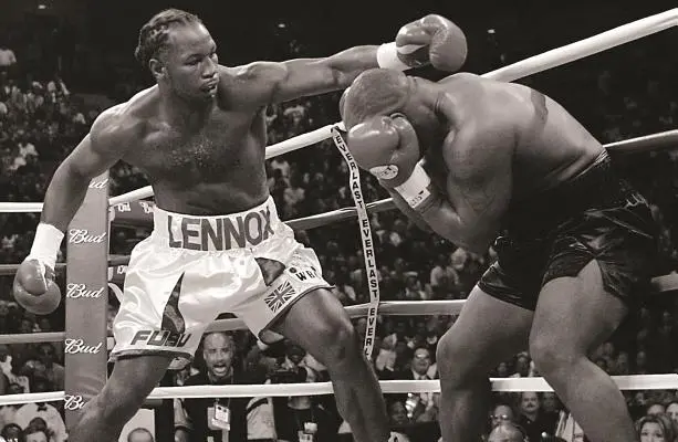 The Boxing Register : Livre d'enregistrement officiel de l'International Boxing Hall of Fame - The Boxing Register: International Boxing Hall of Fame Official Record Book