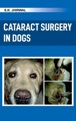 Chirurgie de la cataracte chez le chien - Cataract Surgery in Dogs
