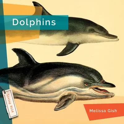 Les dauphins - Dolphins