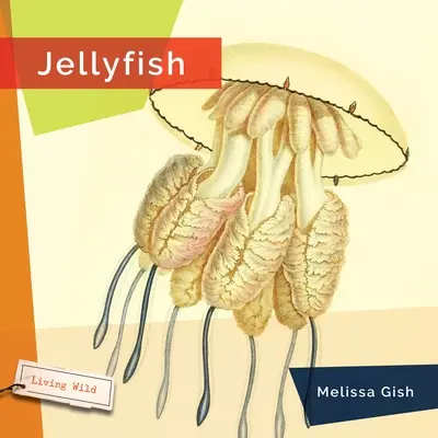 Méduses - Jellyfish