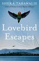 Lovebird Escapes - L'amour du pouvoir contre le pouvoir de l'amour - Lovebird Escapes - Love of Power versus Power of Love