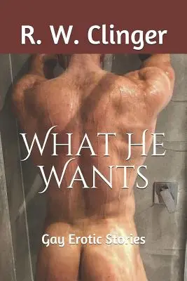 Ce qu'il veut : Histoires érotiques gays - What He Wants: Gay Erotic Stories