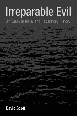 Le mal irréparable : essai d'histoire morale et réparatrice - Irreparable Evil: An Essay in Moral and Reparatory History