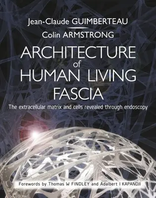 Architecture du fascia vivant humain : La matrice extracellulaire et les cellules révélées par l'endoscopie - Architecture of Human Living Fascia: The Extracellular Matrix and Cells Revealed Through Endoscopy