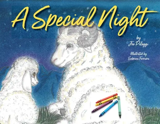 Une nuit spéciale : un livre de coloriage de Noël - A Special Night: a Christmas coloring book