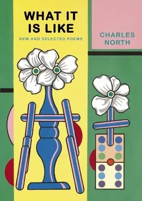 Ce que c'est : Nouveaux poèmes et poèmes choisis - What It Is Like: New and Selected Poems