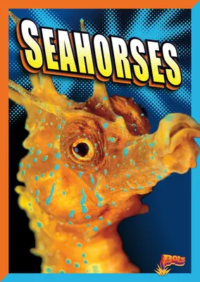 Hippocampes - Seahorses