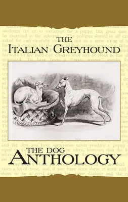 Le lévrier italien : Une anthologie canine - The Italian Greyhound: A Dog Anthology