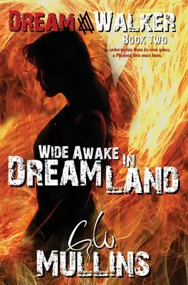 Au pays des rêves - Wide Awake In Dream Land