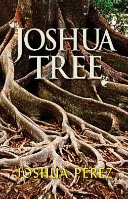 L'arbre de Josué - Joshua Tree