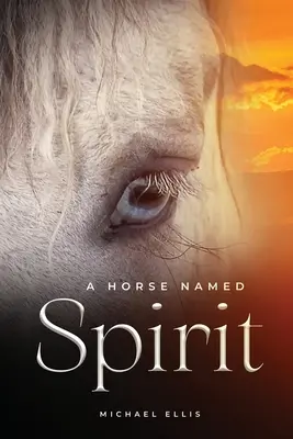 Un cheval nommé Spirit - A Horse Named Spirit