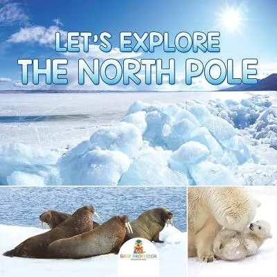 Explorons le pôle Nord - Let's Explore the North Pole
